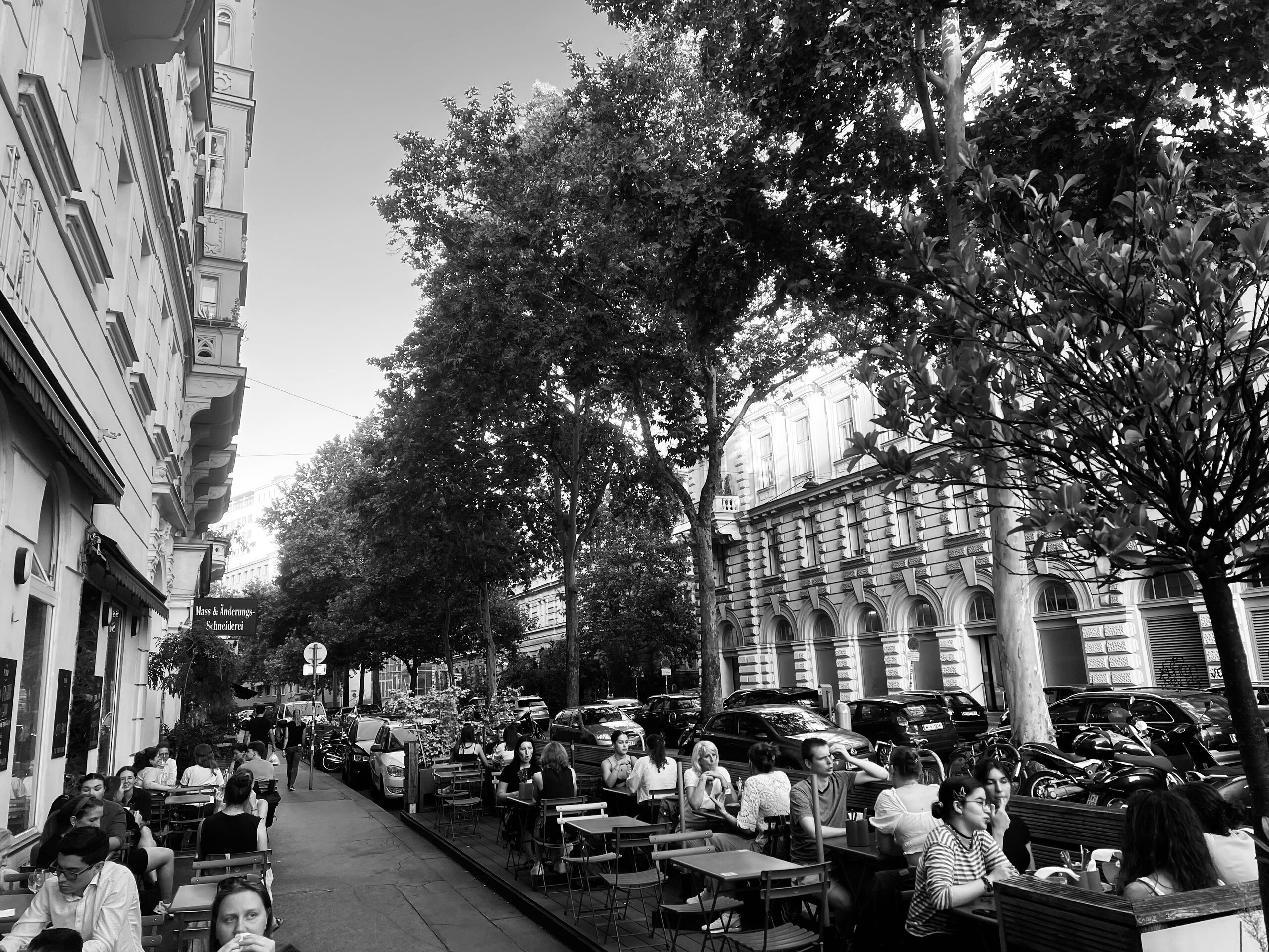 Looking down the lane: occupied outdoor tables between parked cars and trees.